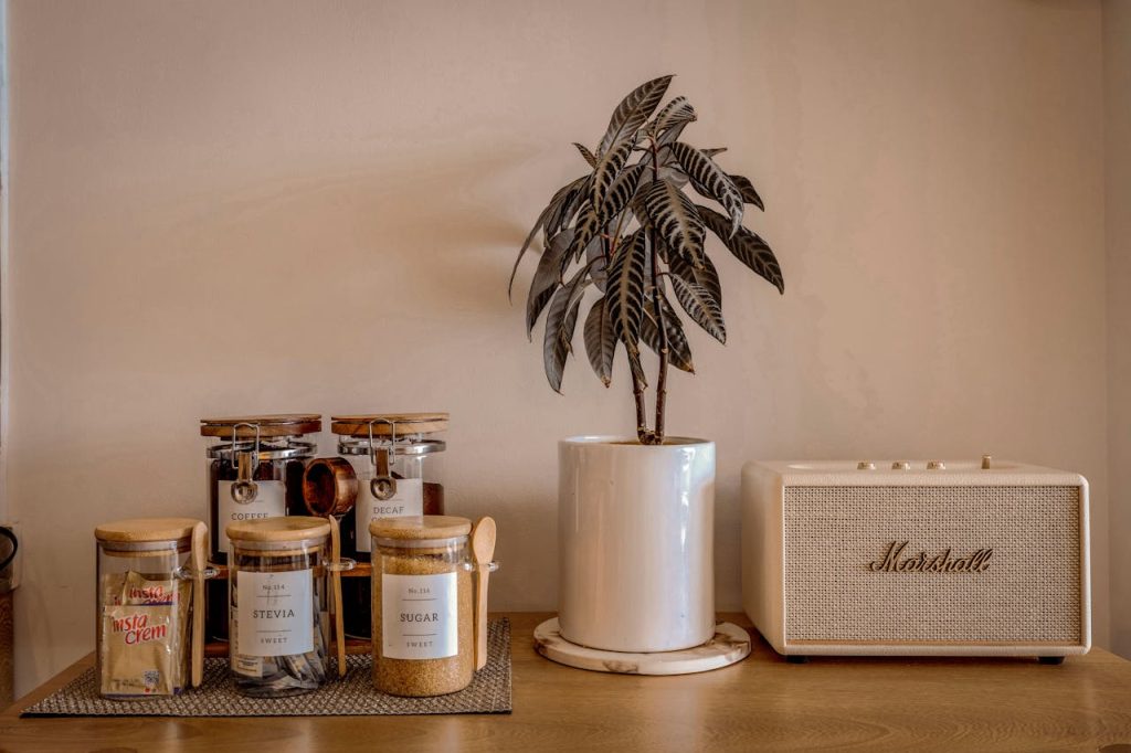 Aesthetic indoor setup with coffee jars, potted plant, and retro speaker.